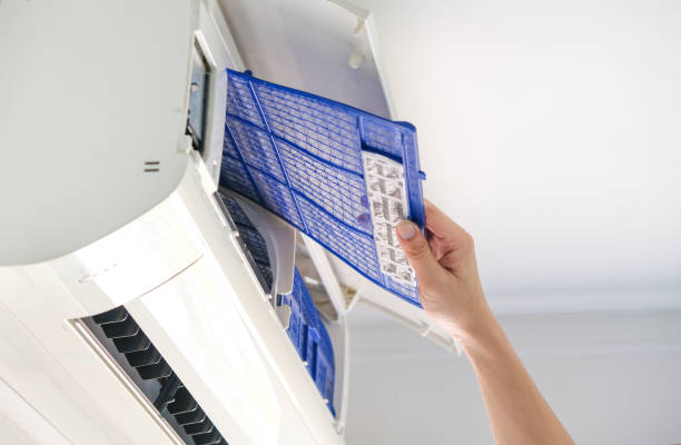 Best Local Air Duct Cleaning Services  in Horatio, AR