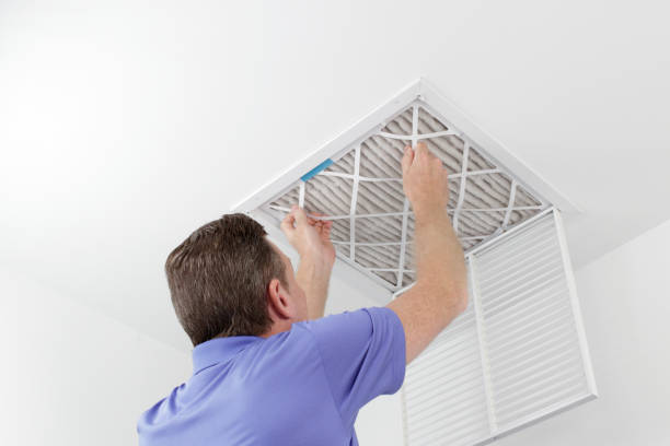 Best Air Vent Cleaning Services  in Horatio, AR